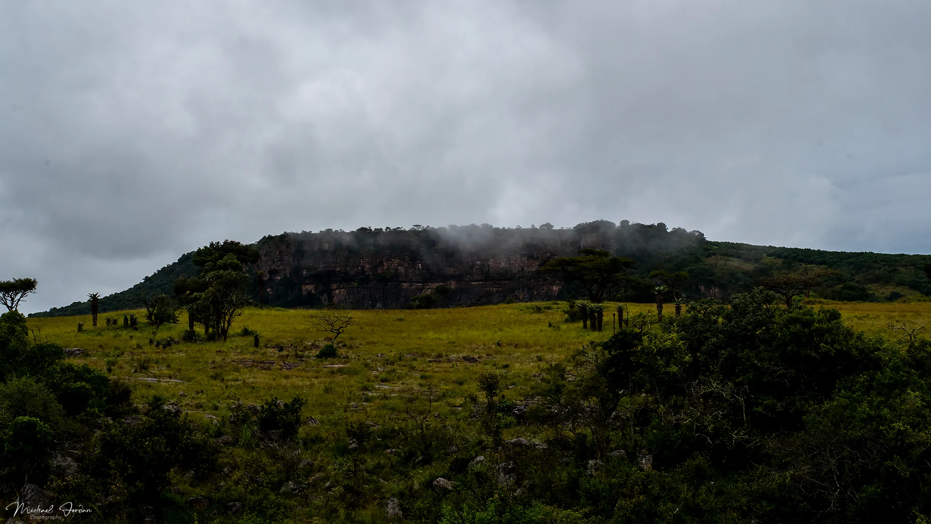 Early Morning Landscape